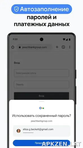 Google Chrome скриншот 6